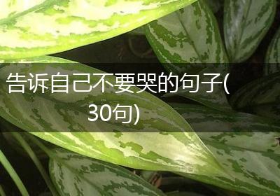 告诉自己不要哭的句子(30句)