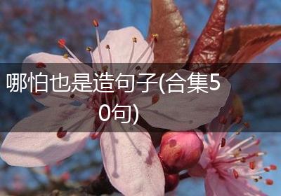 哪怕也是造句子(合集50句)