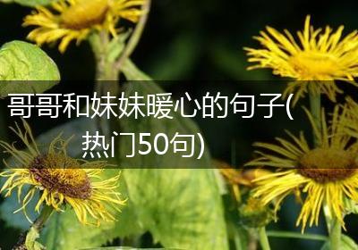 哥哥和妹妹暖心的句子(热门50句)