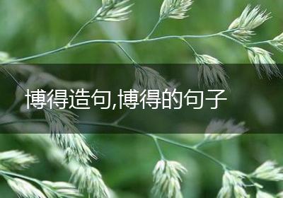 博得造句,博得的句子