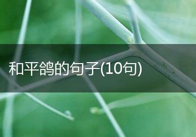 和平鸽的句子(10句)