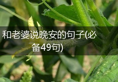 和老婆说晚安的句子(必备49句)