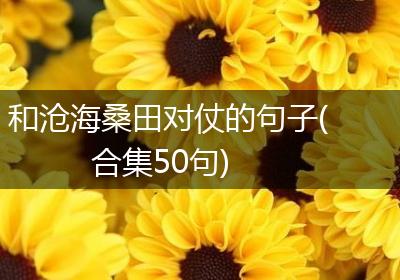 和沧海桑田对仗的句子(合集50句)