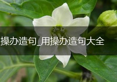 操办造句_用操办造句大全