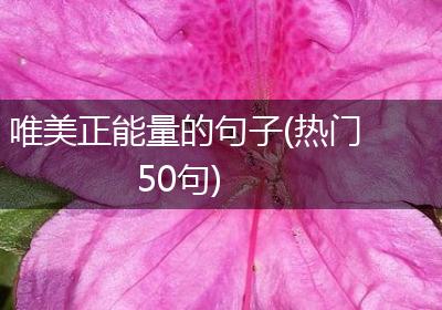 唯美正能量的句子(热门50句)