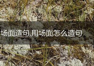 场面造句,用场面怎么造句