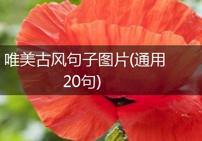 唯美古风句子图片(通用20句)