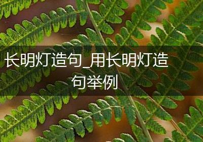长明灯造句_用长明灯造句举例