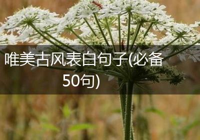 唯美古风表白句子(必备50句)