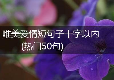 唯美爱情短句子十字以内(热门50句)