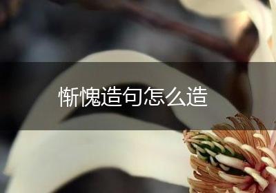 惭愧造句怎么造