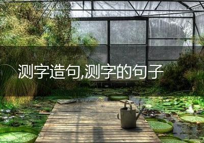 测字造句,测字的句子