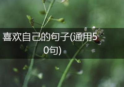 喜欢自己的句子(通用50句)