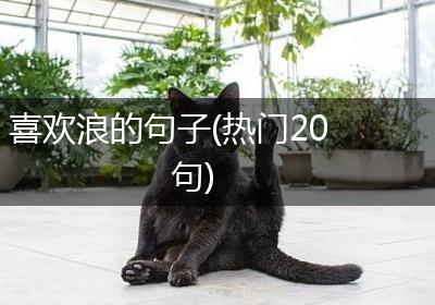 喜欢浪的句子(热门20句)