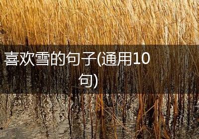 喜欢雪的句子(通用10句)