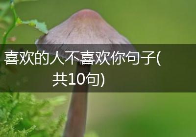 喜欢的人不喜欢你句子(共10句)