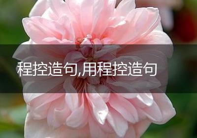 程控造句,用程控造句