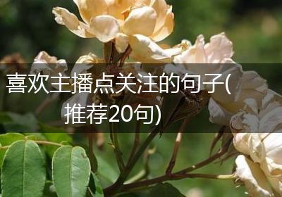 喜欢主播点关注的句子(推荐20句)