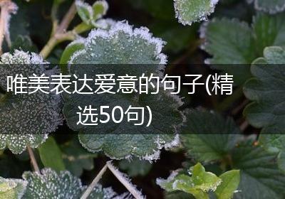 唯美表达爱意的句子(精选50句)