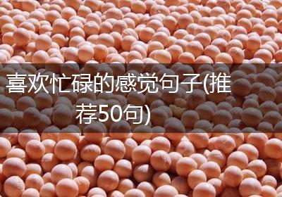喜欢忙碌的感觉句子(推荐50句)