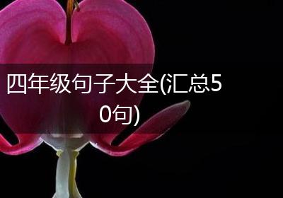 四年级句子大全(汇总50句)