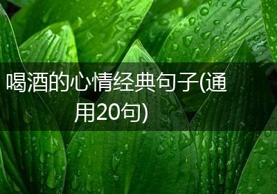 喝酒的心情经典句子(通用20句)