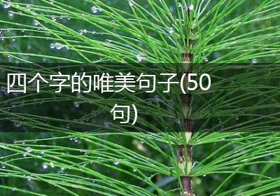 四个字的唯美句子(50句)