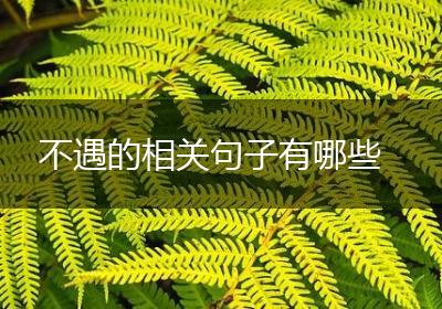 不遇的相关句子有哪些