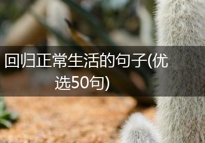 回归正常生活的句子(优选50句)