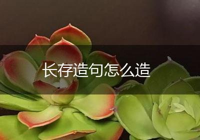 长存造句怎么造