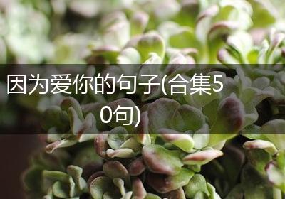 因为爱你的句子(合集50句)