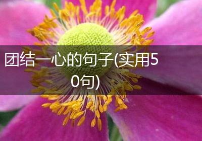 团结一心的句子(实用50句)