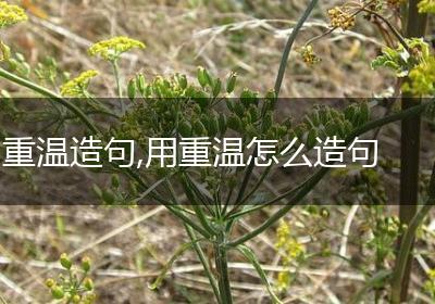 重温造句,用重温怎么造句