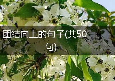 团结向上的句子(共50句)