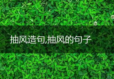 抽风造句,抽风的句子
