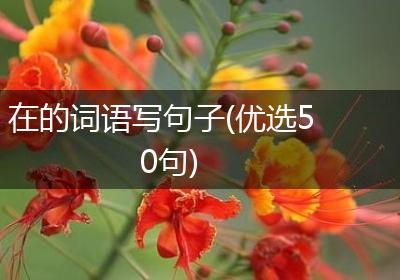 在的词语写句子(优选50句)