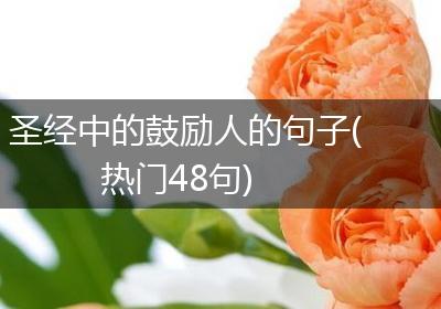 圣经中的鼓励人的句子(热门48句)