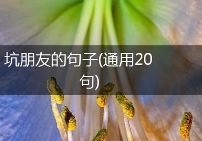 坑朋友的句子(通用20句)