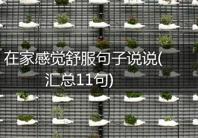 在家感觉舒服句子说说(汇总11句)