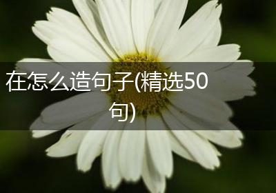 在怎么造句子(精选50句)