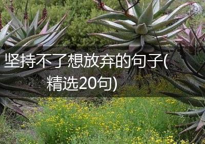 坚持不了想放弃的句子(精选20句)