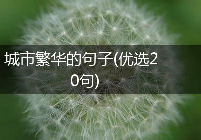 城市繁华的句子(优选20句)