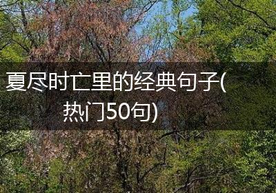 夏尽时亡里的经典句子(热门50句)