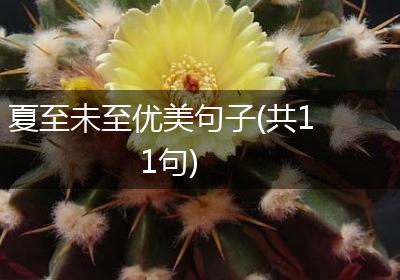 夏至未至优美句子(共11句)