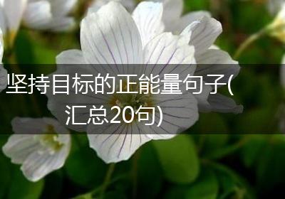 坚持目标的正能量句子(汇总20句)
