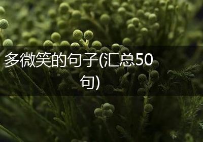 多微笑的句子(汇总50句)