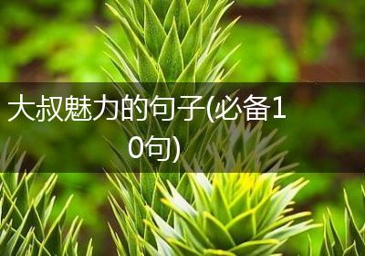 大叔魅力的句子(必备10句)