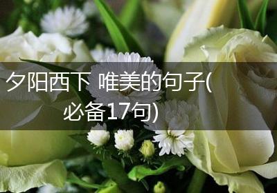 夕阳西下 唯美的句子(必备17句)