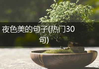 夜色美的句子(热门30句)