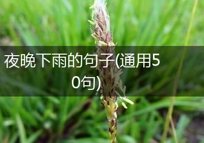 夜晚下雨的句子(通用50句)